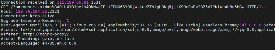 image-20251028235521842